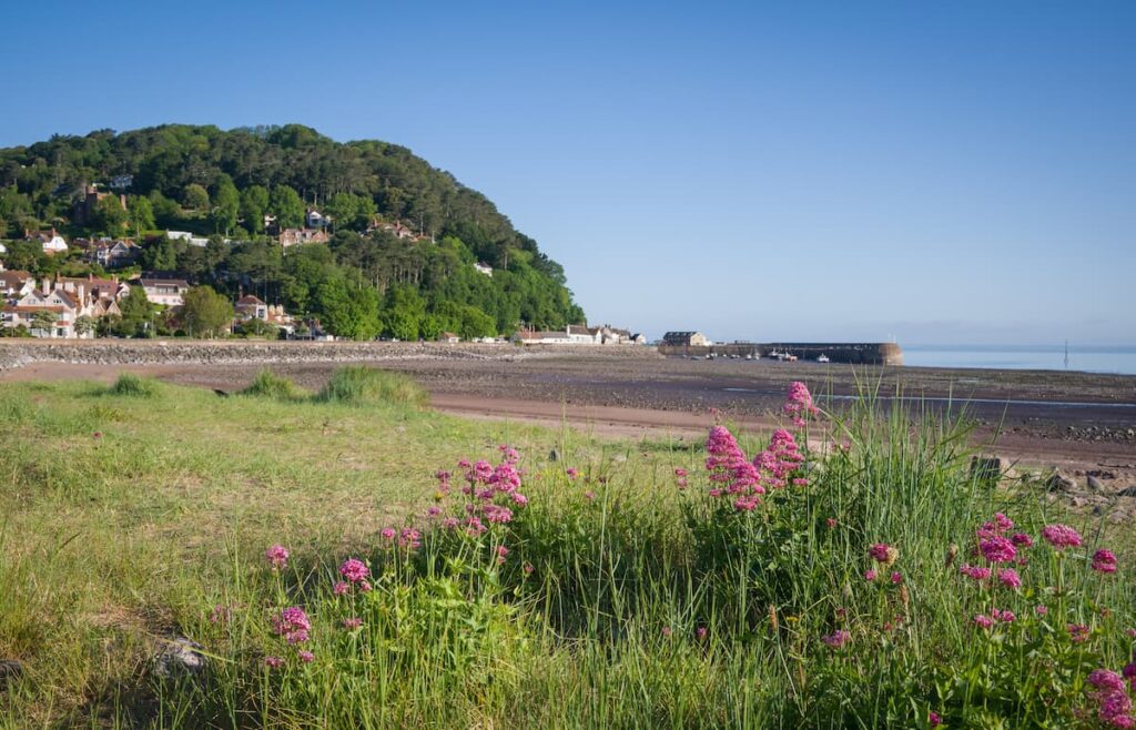 Minehead Seafront with flowers