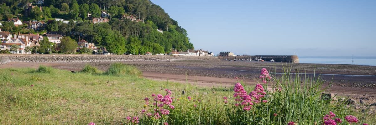 Minehead Seafront with flowers