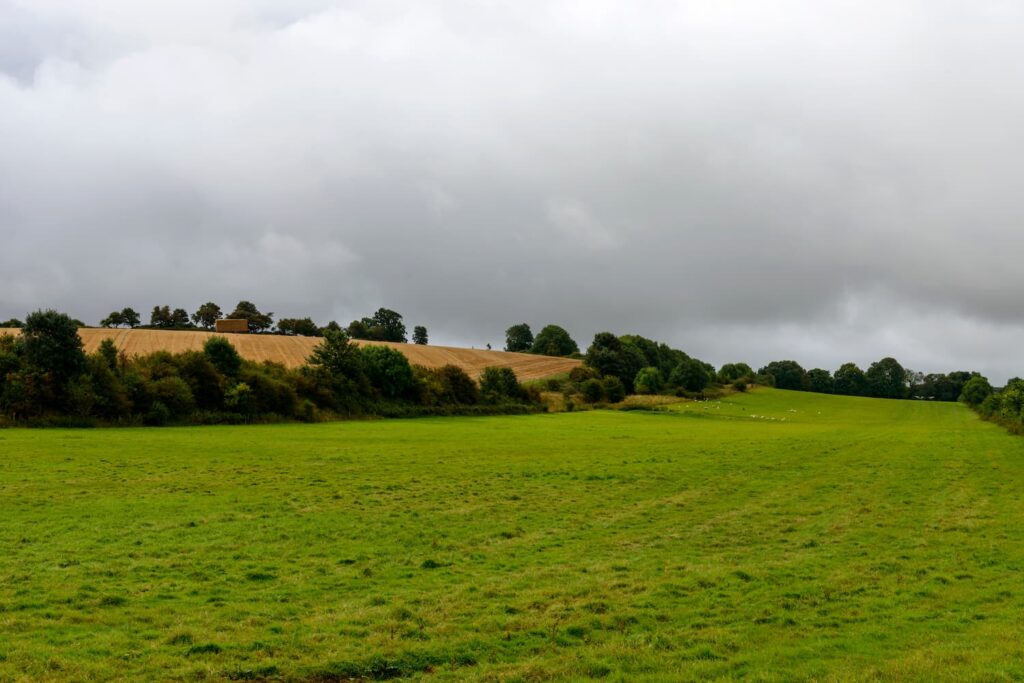 Green pastures in Yeovil, UK